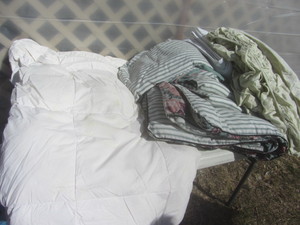 Bed Linens