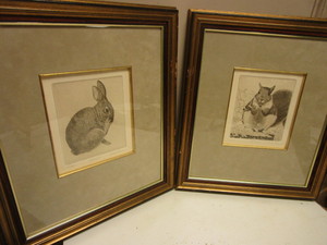 lot 534 image: SQUIRREL, RABBIT, ARTWORK PRINTS, SIGNED, NUMBERED BY ARTIST, FRAMED
