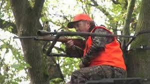 Sportsman 264