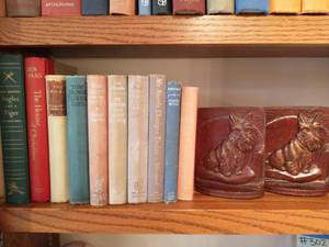 Collection of Books and Bookends