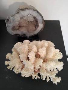 Coral and Geode Dcor