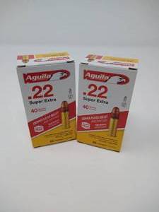 100 Rounds .22 Ammunition