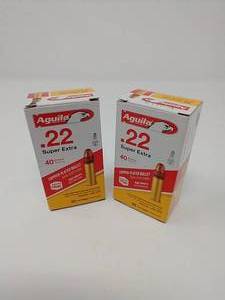 100 Rounds .22 Ammunition