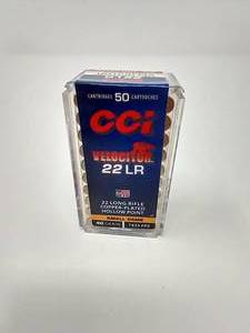 50 Rounds .22 Hollow Point Hunting Ammunition