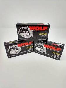 60 Rounds .223 FMJ Ammunition