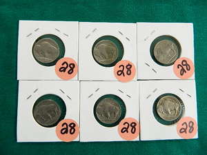 Buffalo Nickels
