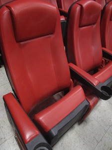 lot 218 image: ROW OF 10 THEATER SEATS