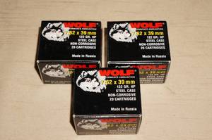 60 Wolf 7.62 x 39 122 Gr HP Steel Case Ammo