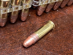 (300) Rounds .22LR