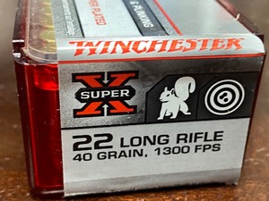 (100) Rounds .22LR