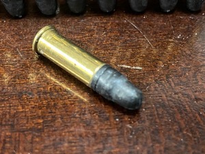 (100) Rounds .22LR