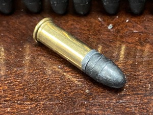 (100) Rounds Of .22LR