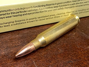 (20) Rounds .223