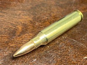 (20) Rounds .223