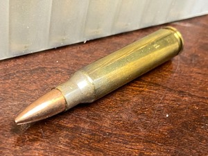 (50) Rounds .223-Rem