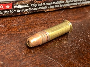 (222) Rounds .22LR