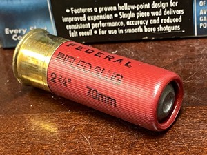 (10) Rounds 12-Gauge 1oz Slugs