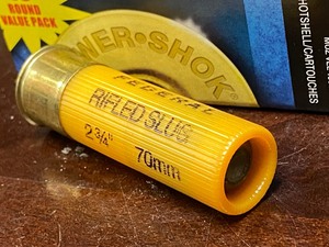 (15) 20-Gauge Rifled Slugs