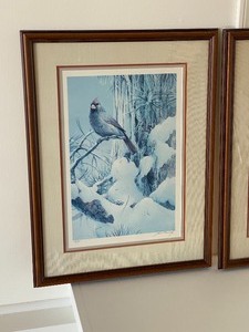 Pair of Framed Bird Prints by Mario Fernandez