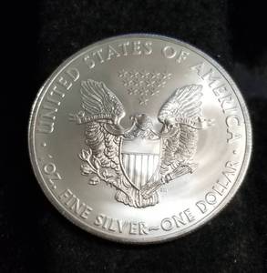 2013 AMERICAN SILVER EAGLE 1 TROY OZ. .999 FINE SILVER DOLLAR