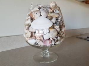 lot 47 image: Jumbo Goblet Full of Assorted Seashells