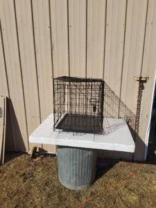 Small Wire Dog Crate