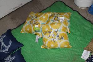 lot 141 image: Lot of (3) Mainstays IndoorOutdoor Toss Pillow You Are My Sunshine 16Wx16H