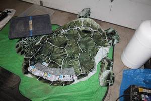 lot 176 image: Turtle Float