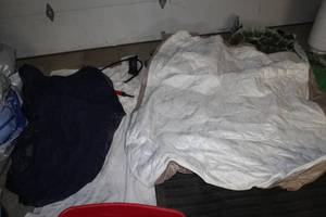 lot 175 image: Lot of (2) Coleman Air Mattress with Air Pump