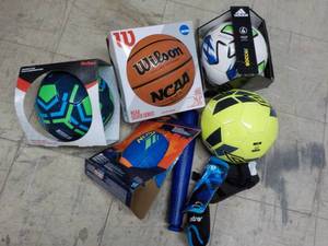 Sports Balls Lot...