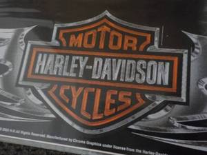 Lot of 5 Harley Davidson Sunscreen ...
