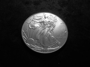 2013 American Silver Eagle 1 OZ. .999 Fine