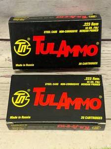 40 Rounds .223 55gr Ammo Ammunition