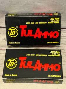 40 Rounds .223 55gr Ammo Ammunition