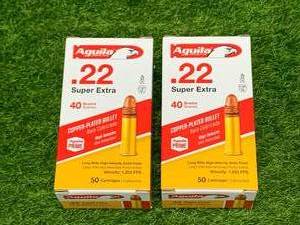 100 Rounds of .22 Ammo Ammunition