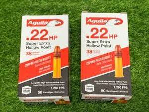100 Rounds of .22 Hollow Point Ammo Ammunition