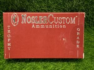 20 Rounds 308 Win 165gr Ammo Ammunition