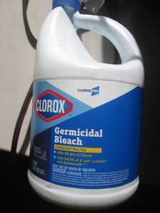lot 269 image: 2-121floz bottles of clorox germici...