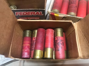 lot 19 image: Shotgun Shells