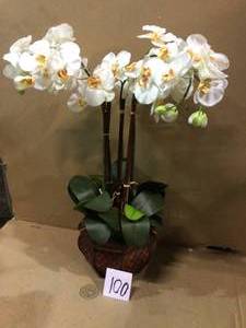 lot 100 image: 31 in. H Cream Phalaenopsis with Decorative Vase Silk Flower Arrangement Customer Returns See Pictures 
