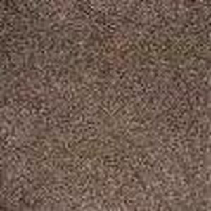 lot 70 image: Calico Rock Oxford Twist Residential 18 in. x 18 in. Carpet Tile (90 Sq Ft)