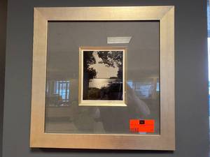 lot 14 image: Framed Photo (nature themed)
