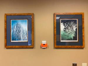 lot 18 image: Lot of 2-  Framed Art Prints (nature themed)