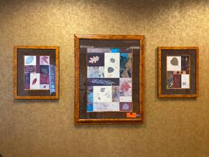 lot 22 image: Lot of 3-  Framed Art Prints (leaf themed)