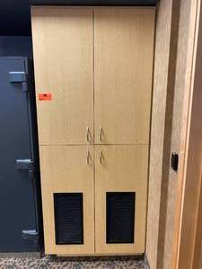 lot 31 image: StorageData Networking Cabinet
