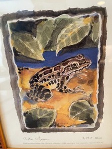 lot 167 image: Stephen C. Harmon Southern Leopard Frog Numbered Print