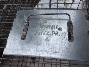 lot 351 image: 2 Havahart Rodent Traps