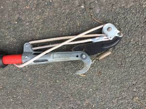 lot 355 image: Carona Expandable Tree Trimmer