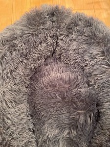 lot 348 image: Soft and Cuddly Cat Bed