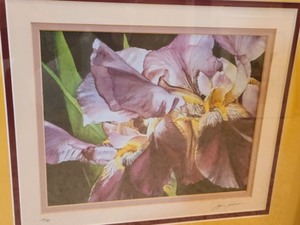 lot 219 image: Two Framed Floral Prints